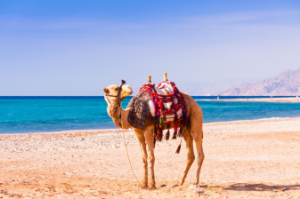 TRAVEL AND LIFE TIPS AND HACKS